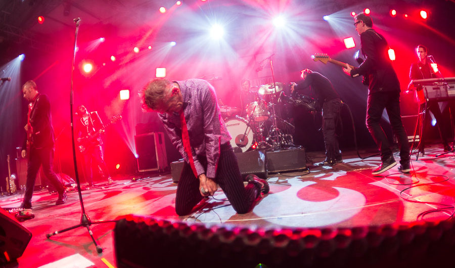 Photos concerts : Didier Wampas + Dwayne Dopsie + Airnadette + Fill's Monkey
